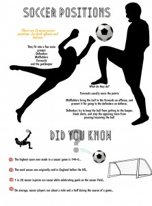 soccer-info-graphic-qs