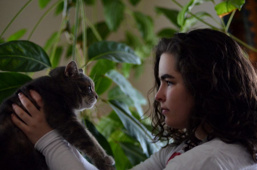 Katya Moeller ‘22 competes in an impromptu staring contest with her rescue cat, Lily. Having had dogs as pets, Moeller’s family had never considered getting a cat, so it was a complete surprise to Moeller when they decided to rescue Lily. January 21, 2019.
(Featured image)