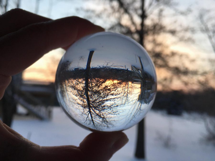 The trees and snow in the background reflect in the glass ball making an upside-down image inside it. -feature