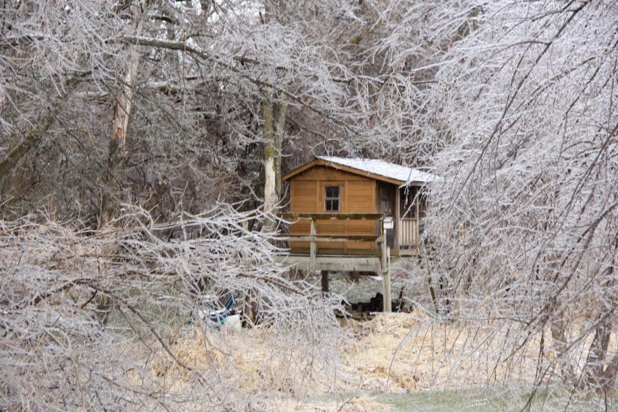 Little cabin surrounded by frosted trees in the outskirts of the woods.1/11/20