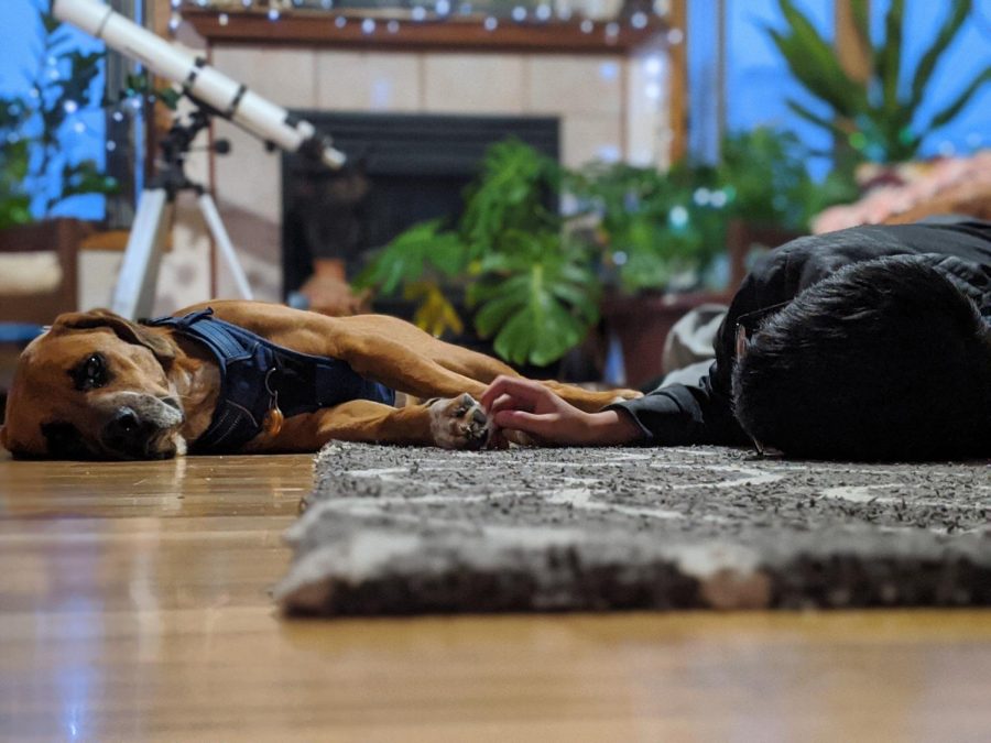 (Jan 22) Kenton Huynh, and a canine friend named Tyke share a little moment while waiting to be called to dinner. (Feature)