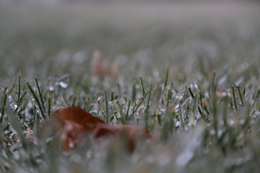 After freezing rain, almost every blade of grass in trapped in a layer of ice. The crunching of ice under your shoes provides a soothing experience. (Worms Eye)